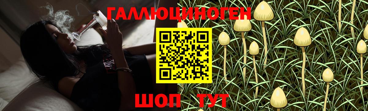 Псилоцибиновые грибы прущие грибы  Галлюциногенные грибы Psilocybine cubensis  Вход с VPN  Ливны 